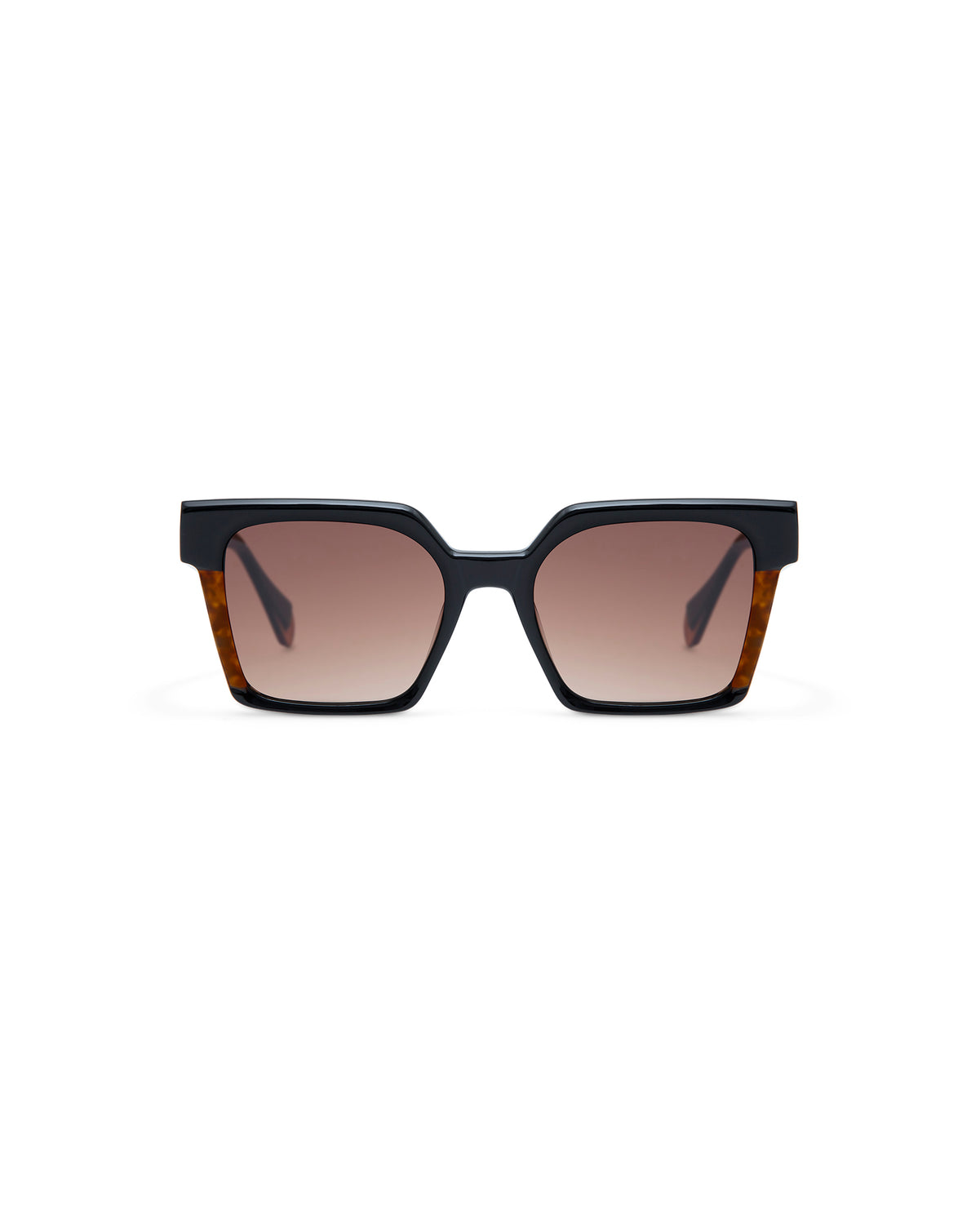 CASSIUS: Cuadrada Acetato Noir sunglasses by GIGI STUDIOS 4260