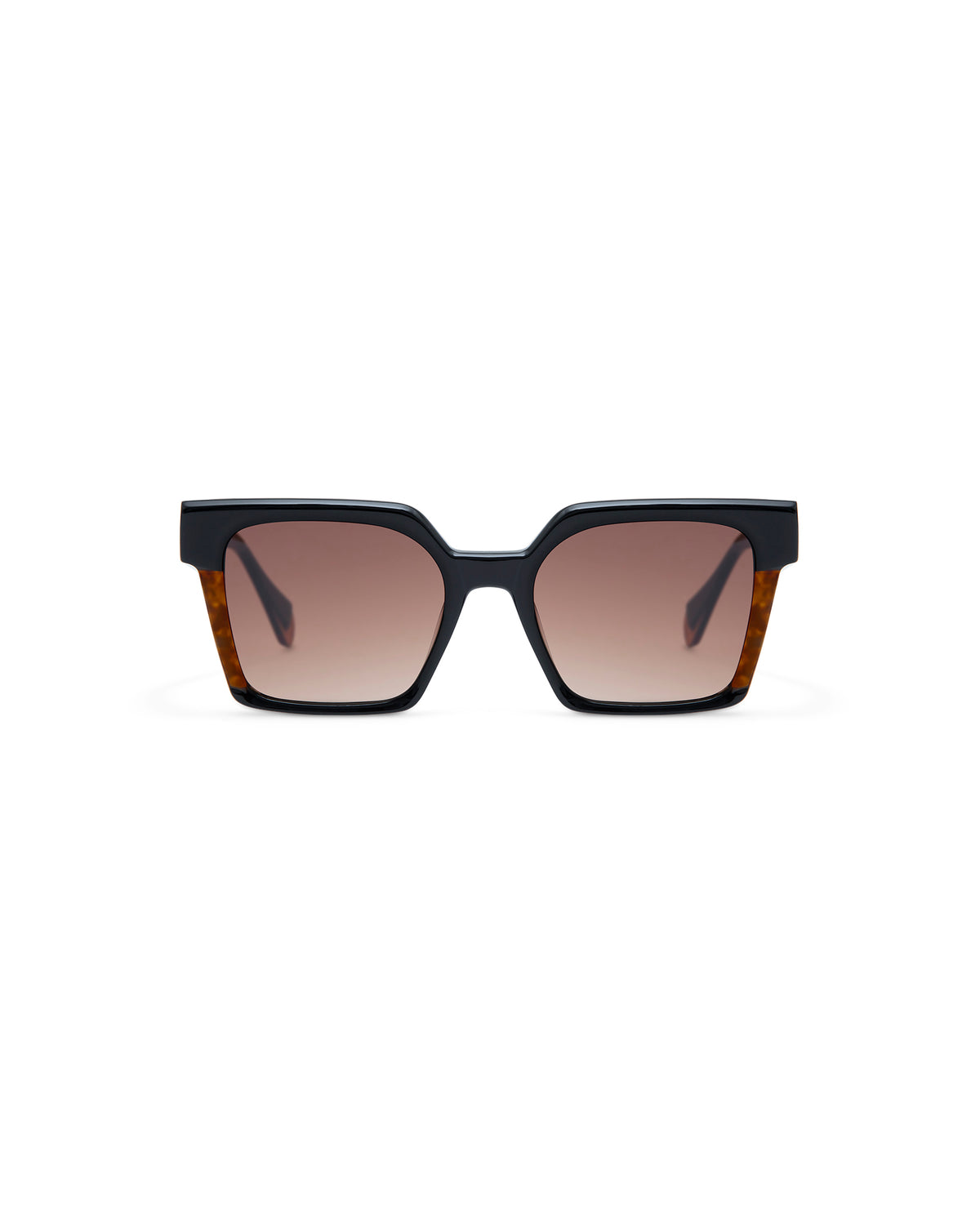 CASSIUS: Cuadrada Acetato Noir sunglasses by GIGI STUDIOS 4260