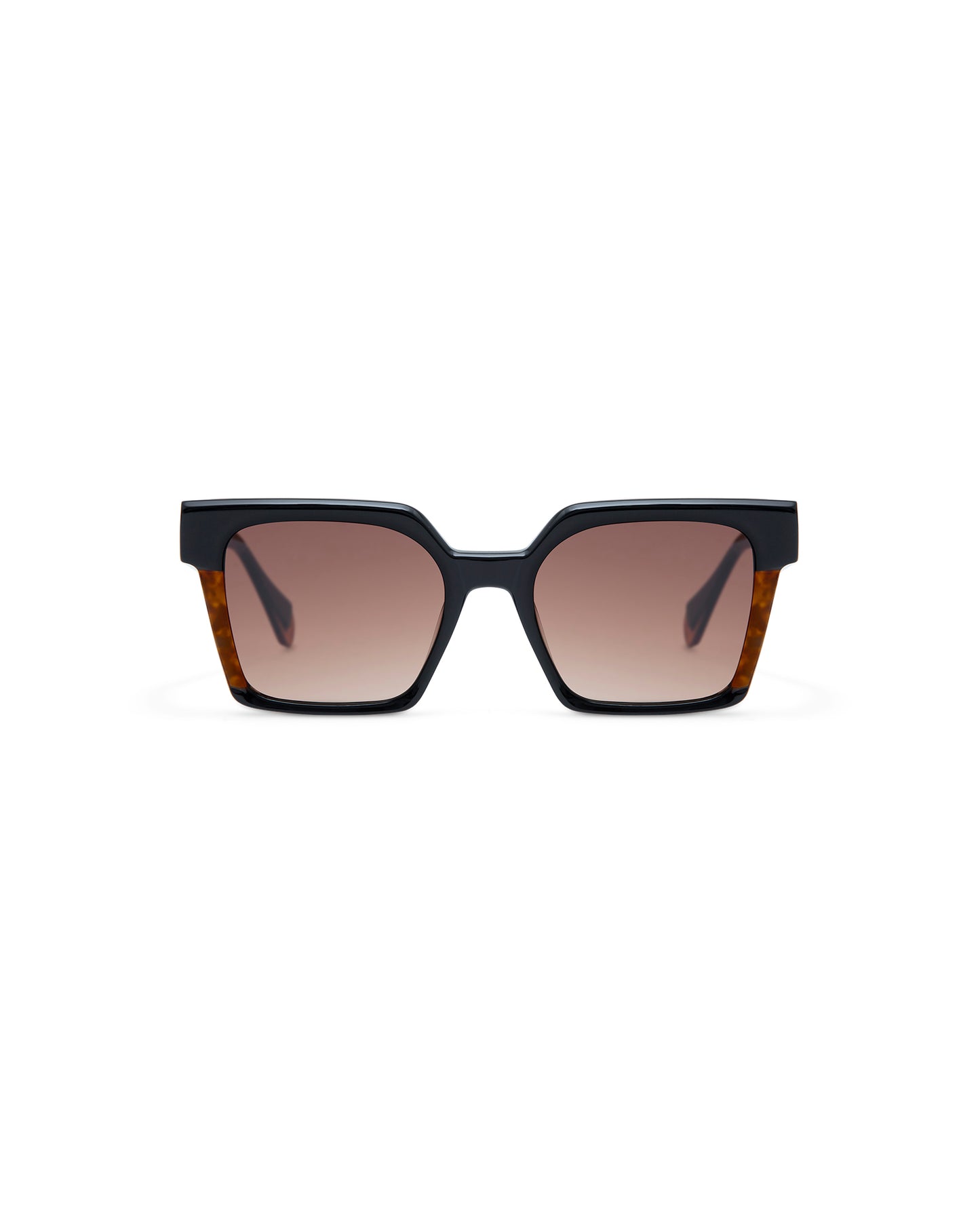 CASSIUS: Cuadrada Acetato Noir sunglasses by GIGI STUDIOS 4260
