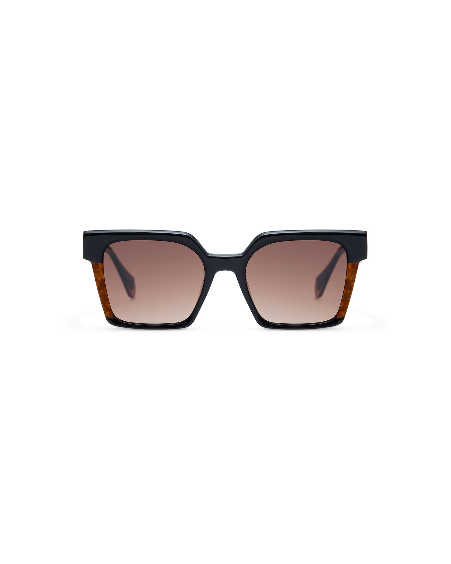 CASSIUS: Cuadrada Acetato Noir sunglasses by GIGI STUDIOS 4260