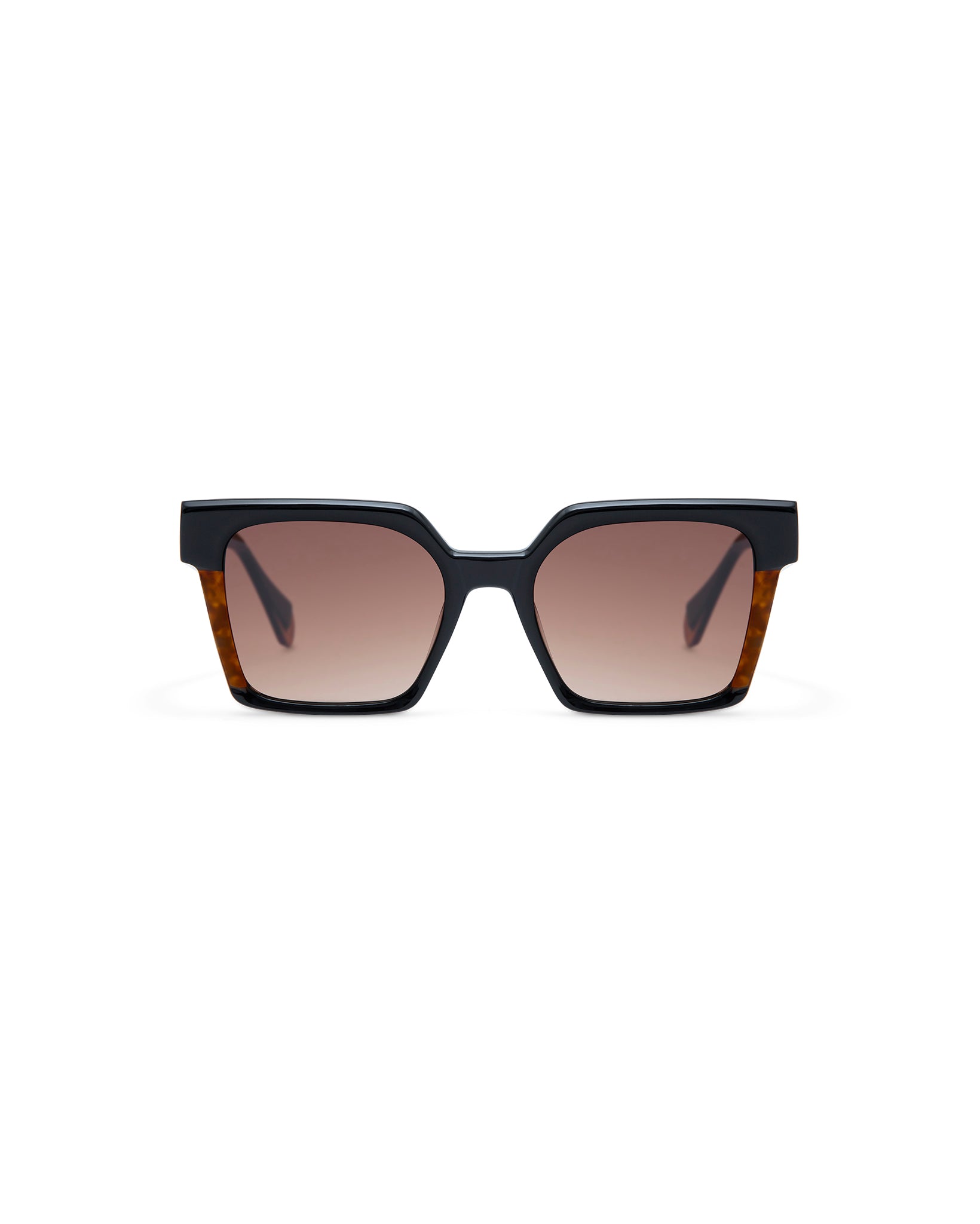 CASSIUS: Cuadrada Acetato Noir sunglasses by GIGI STUDIOS 4260