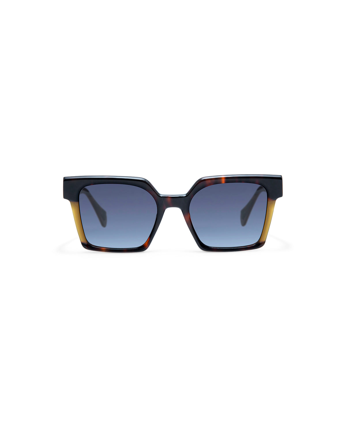 CASSIUS: Cuadrada Acetato Havana sunglasses by GIGI STUDIOS 4337