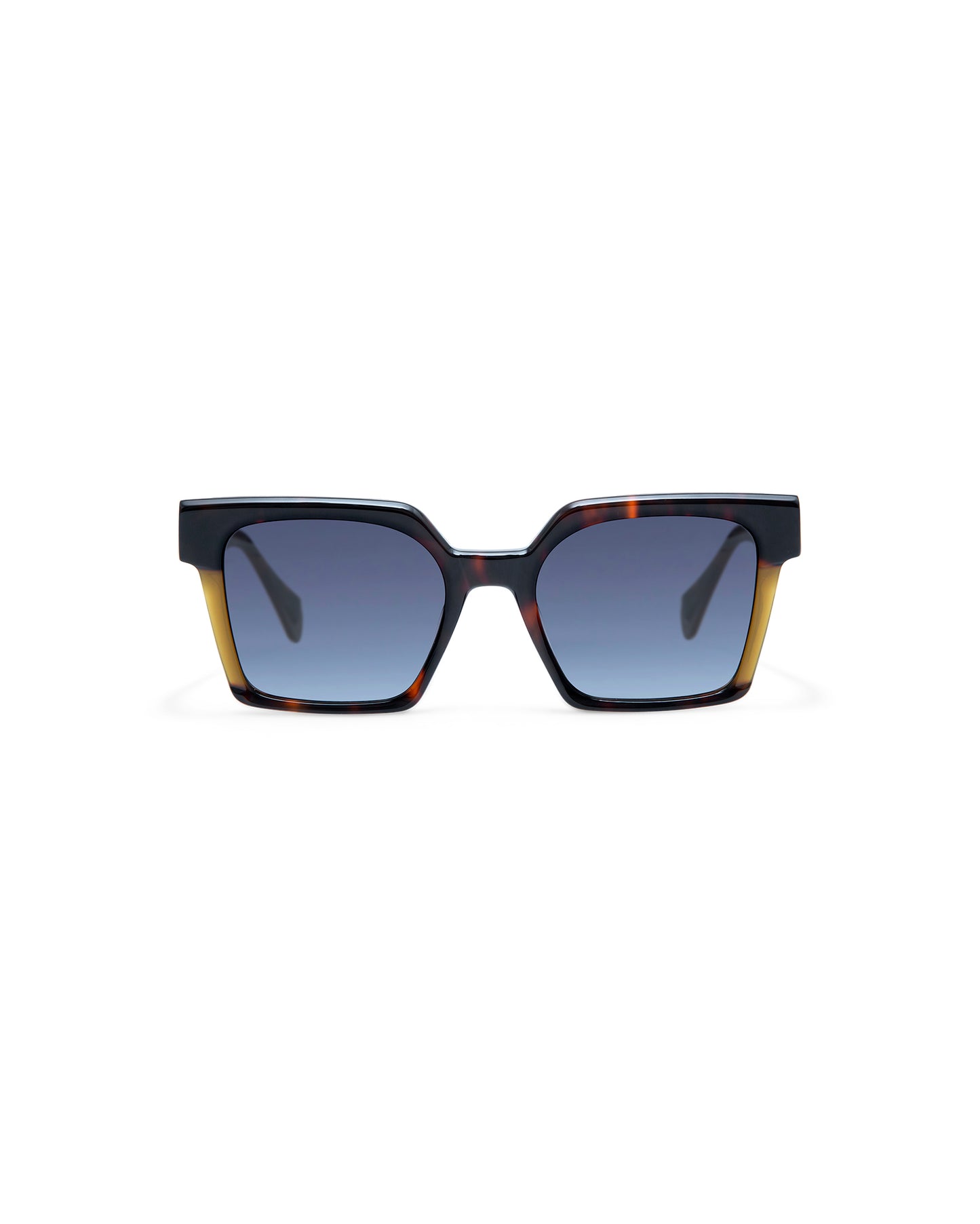 CASSIUS: Cuadrada Acetato Havana sunglasses by GIGI STUDIOS 4337