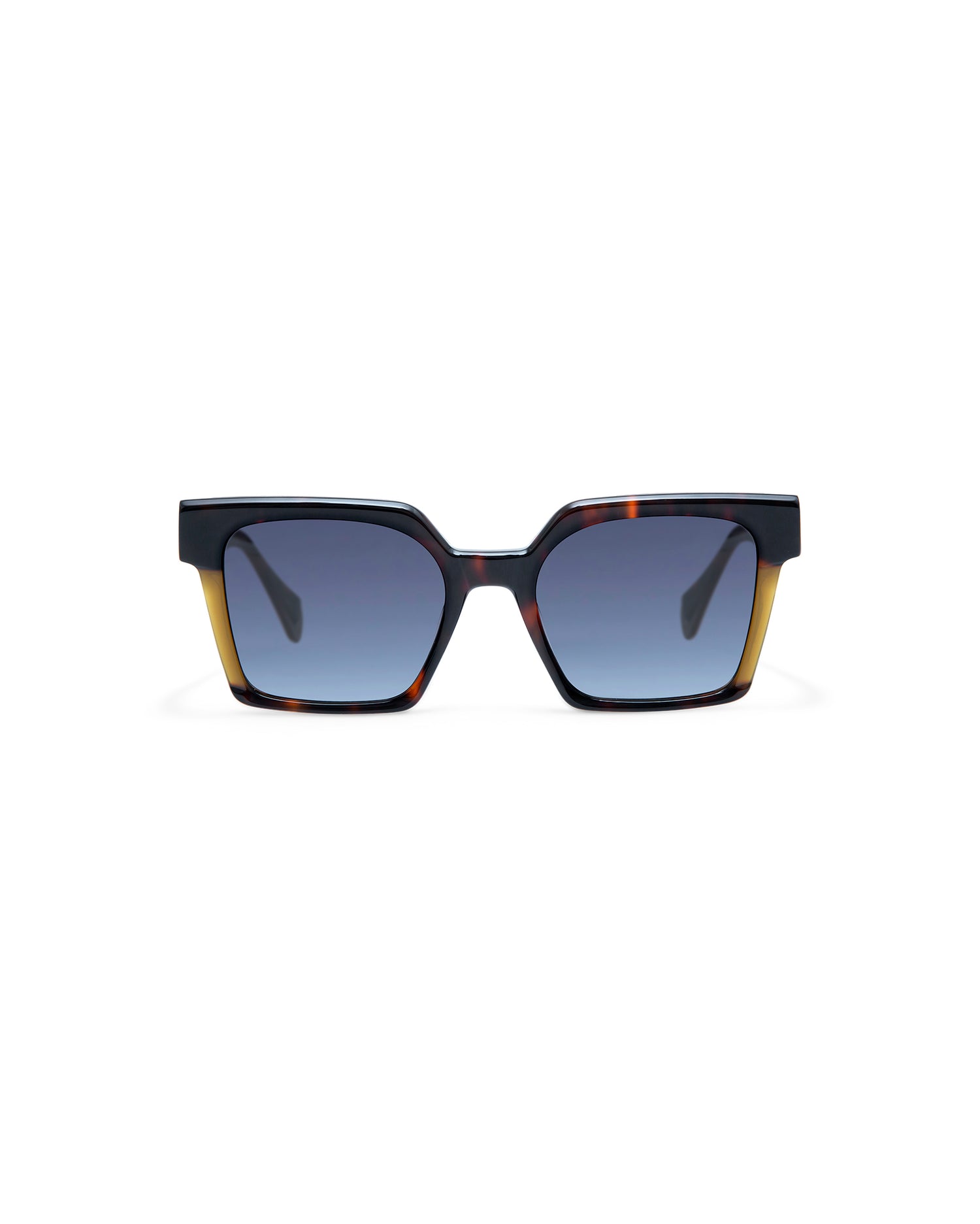 CASSIUS: Cuadrada Acetato Havana sunglasses by GIGI STUDIOS 4337