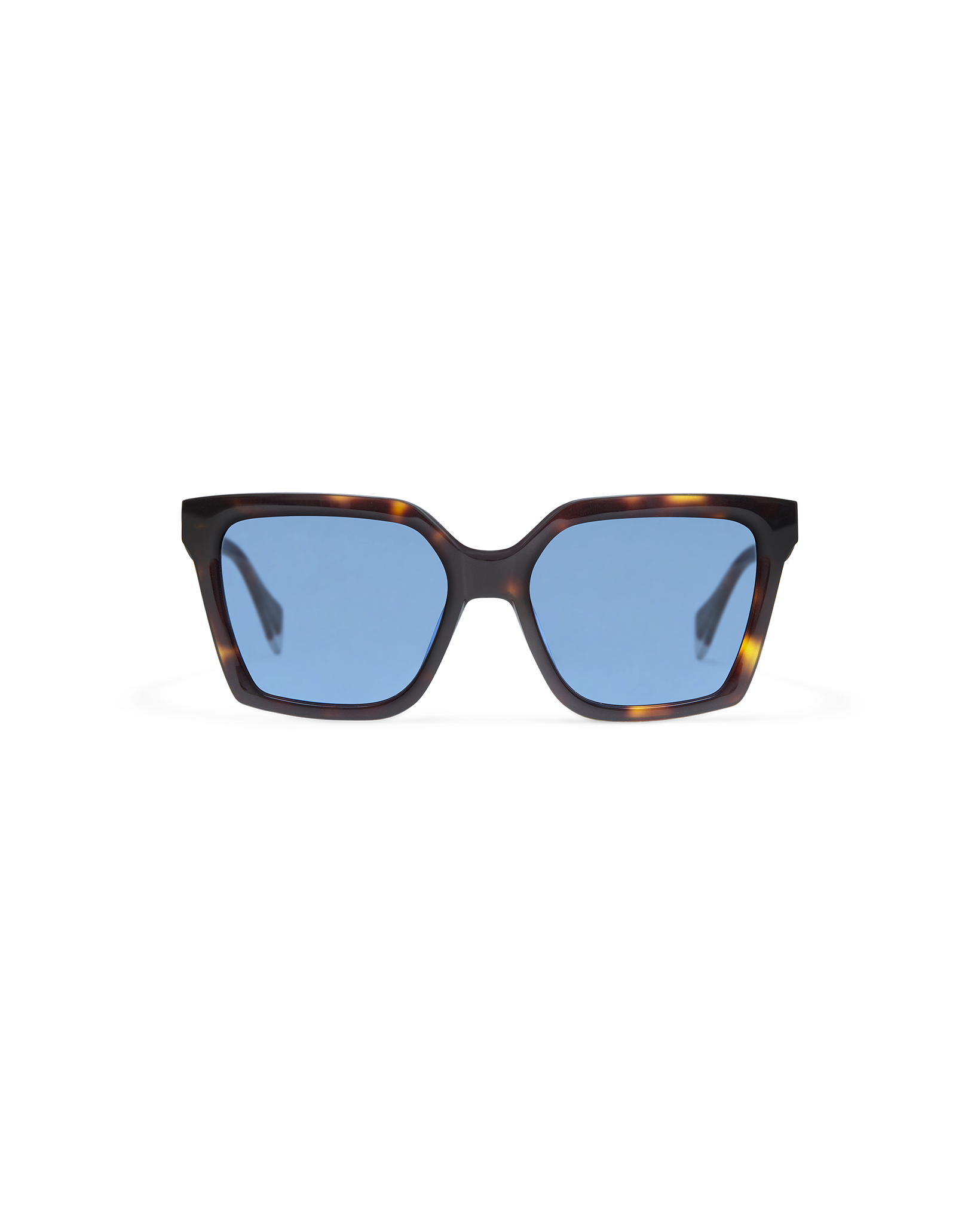 BRIAR: Cat Eye Acetato Havana sunglasses by GIGI STUDIOS 8486