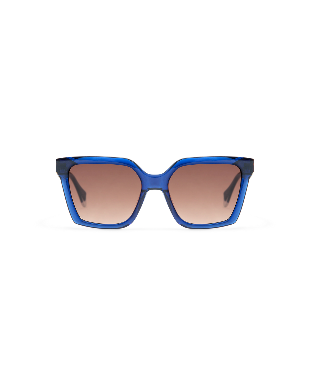 GS9013_03S_BRIAR_2