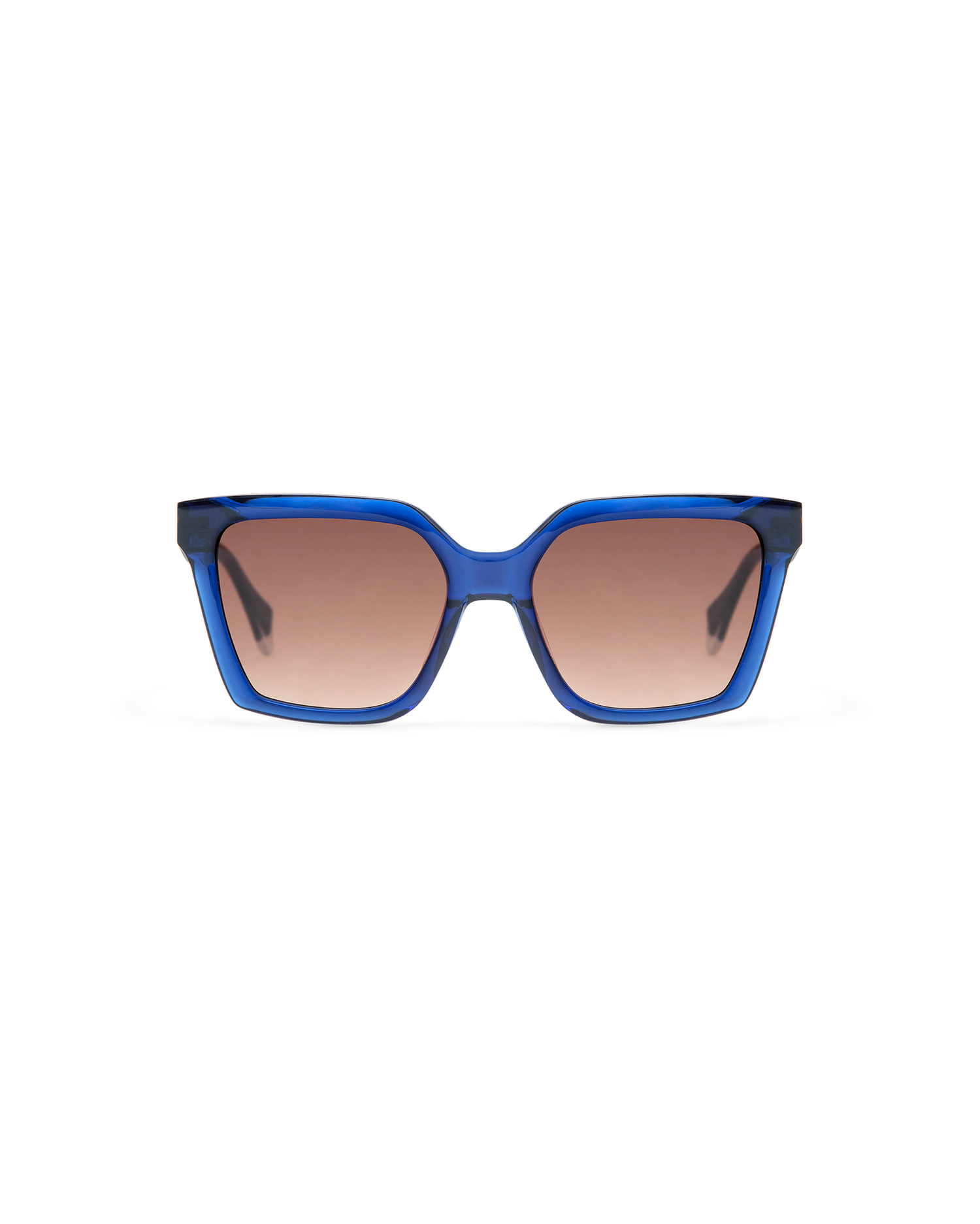 BRIAR: Cat Eye Acetato Azul sunglasses by GIGI STUDIOS 8487