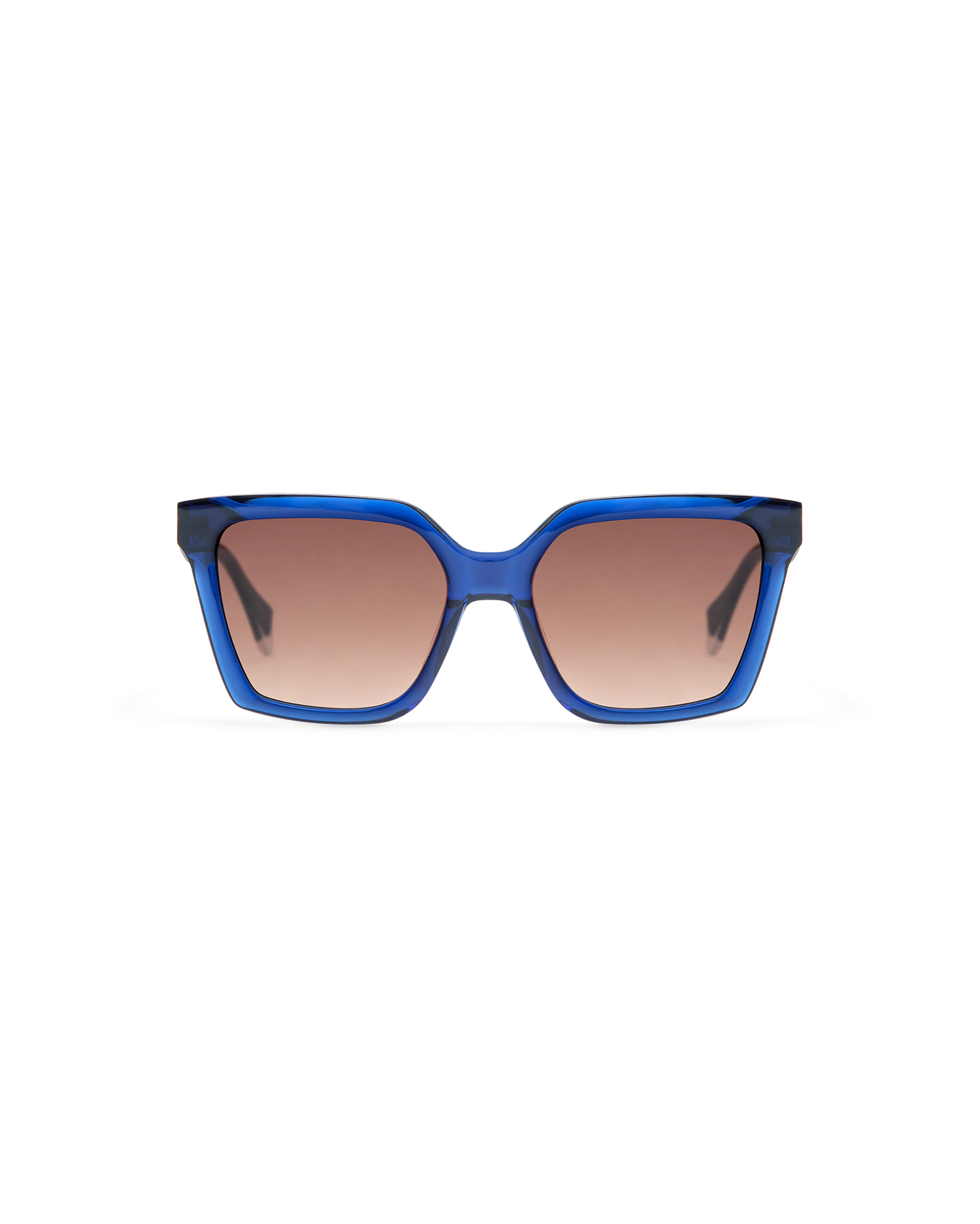 BRIAR: Cat Eye Acetato Azul sunglasses by GIGI STUDIOS 8487