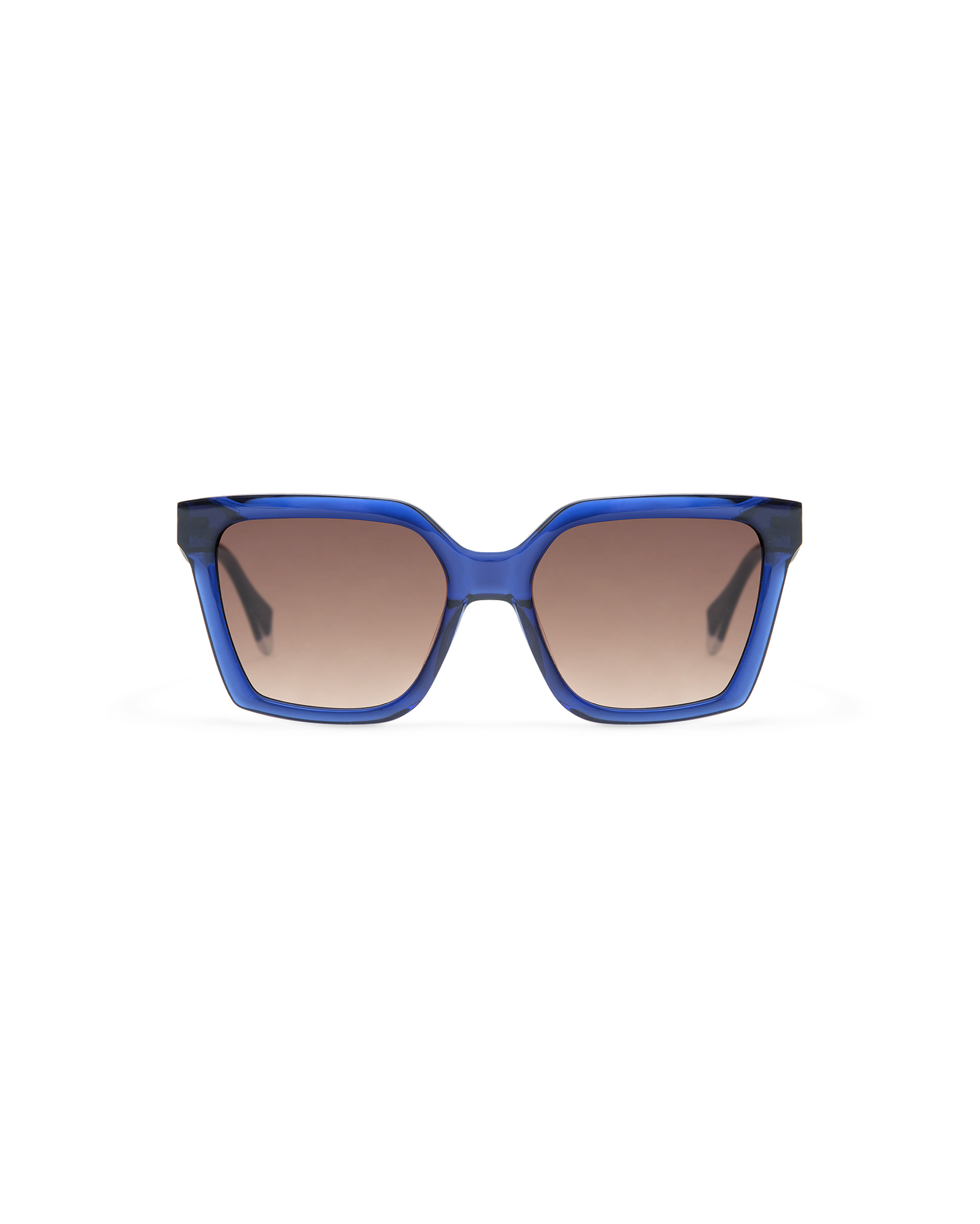 BRIAR: Cat Eye Acetato Azul sunglasses by GIGI STUDIOS 8487