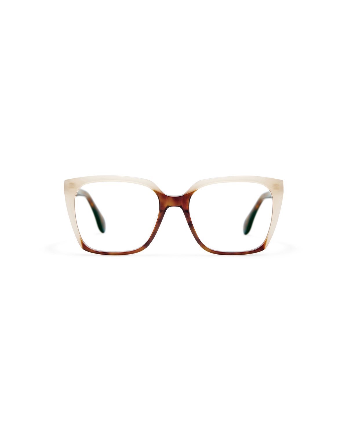 ARA: Cat Eye Acetato Havana optical glasses by GIGI STUDIOS 8502