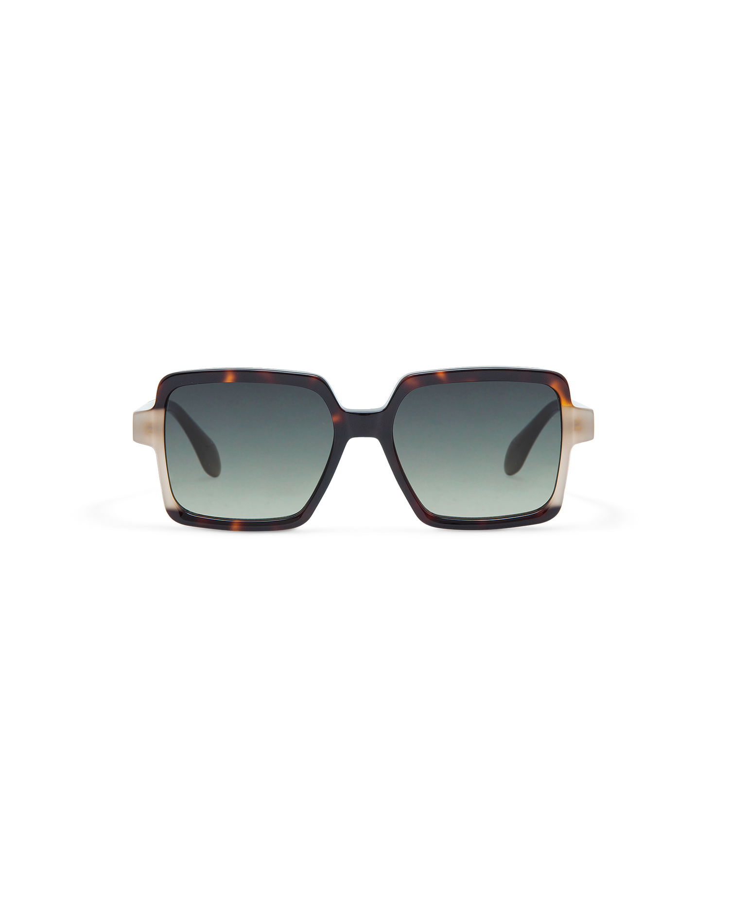 AMI: Cuadrada Acetato Havana sunglasses by GIGI STUDIOS 10869