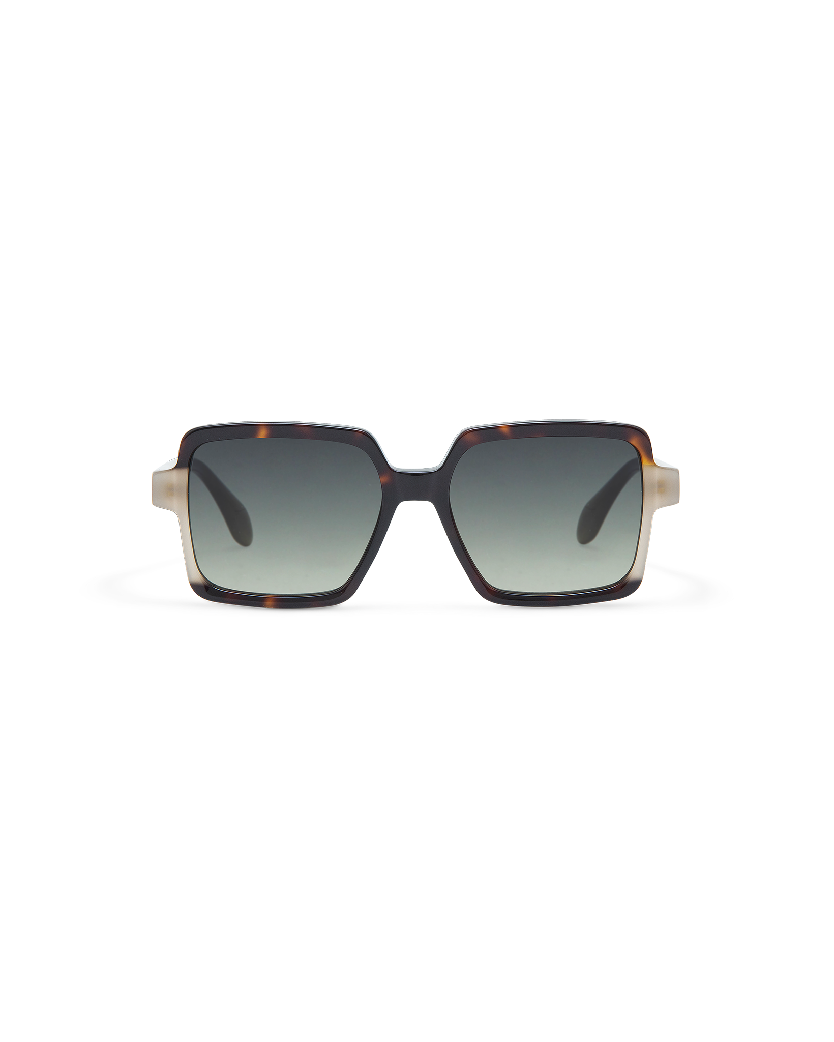 AMI: Cuadrada Acetato Havana sunglasses by GIGI STUDIOS 10869