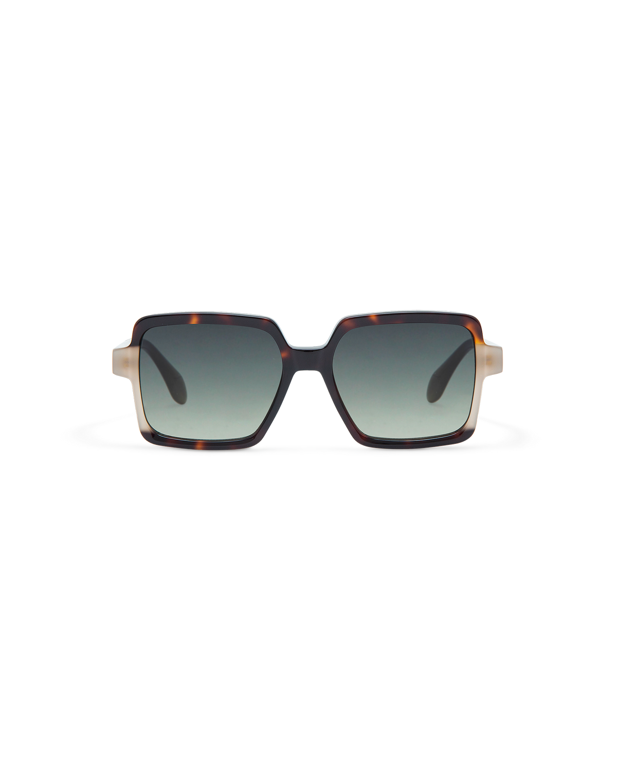 AMI: Cuadrada Acetato Havana sunglasses by GIGI STUDIOS 10869