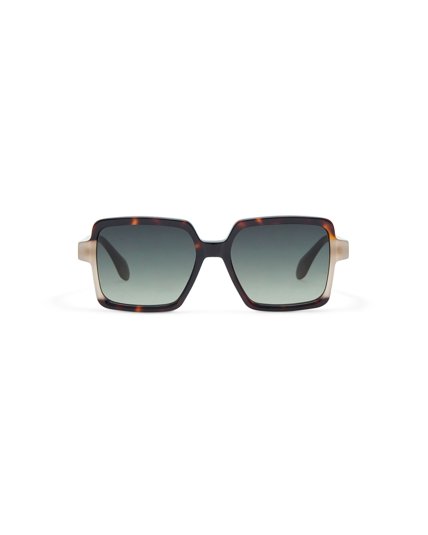 AMI: Cuadrada Acetato Havana sunglasses by GIGI STUDIOS 10869