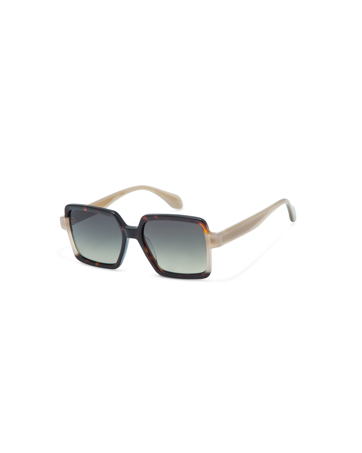 AMI: Cuadrada Acetato Havana sunglasses by GIGI STUDIOS 10870
