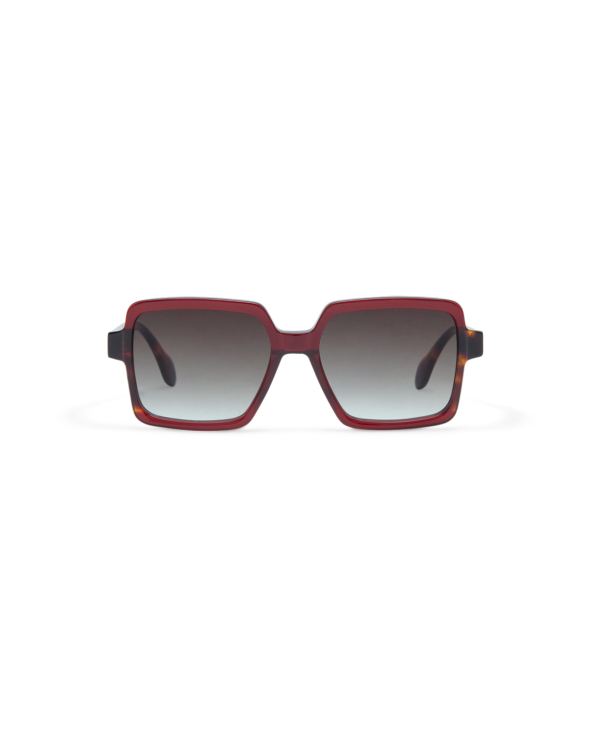 AMI: Cuadrada Acetato Rojo sunglasses by GIGI STUDIOS 10873