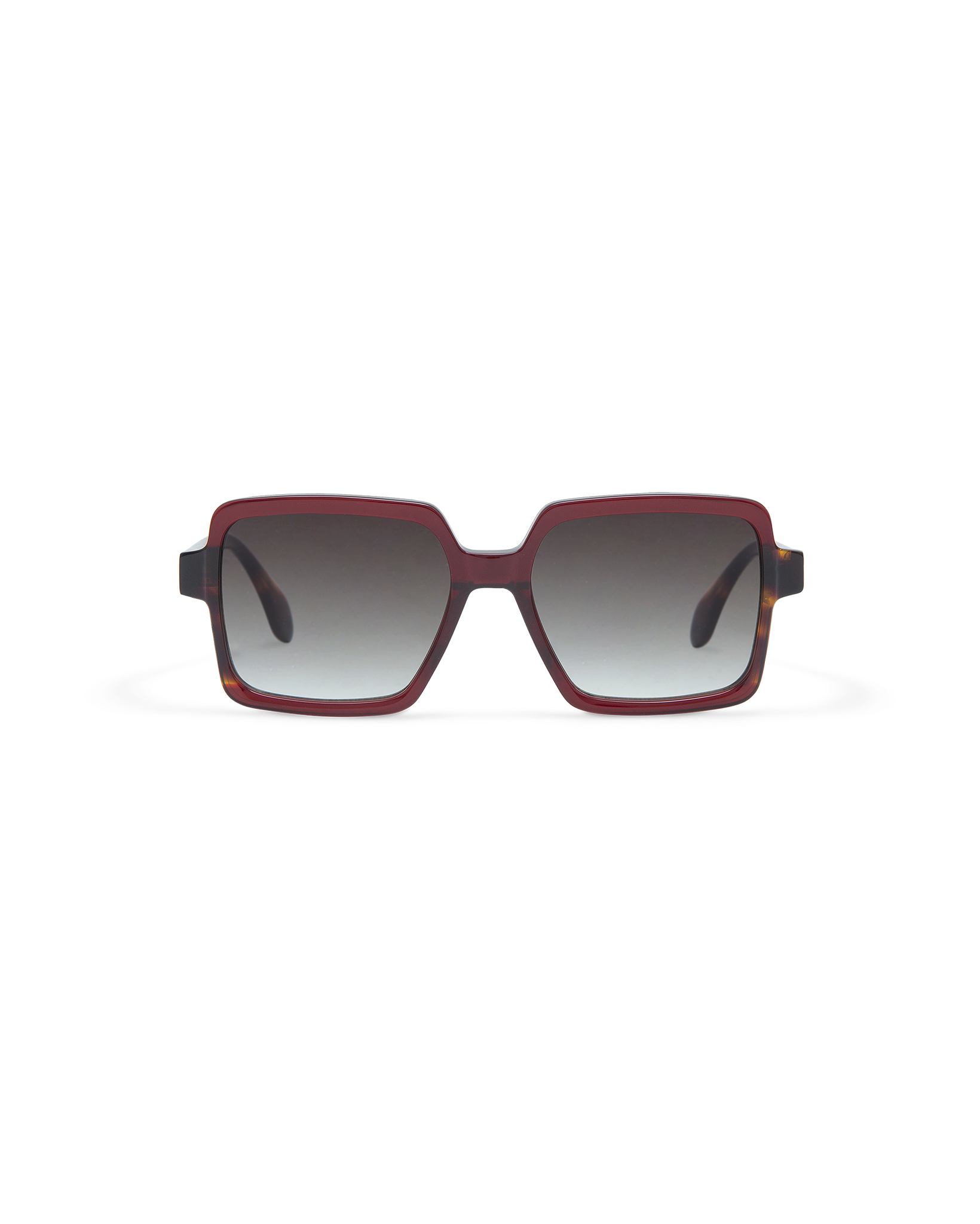 AMI: Cuadrada Acetato Rojo sunglasses by GIGI STUDIOS 10873