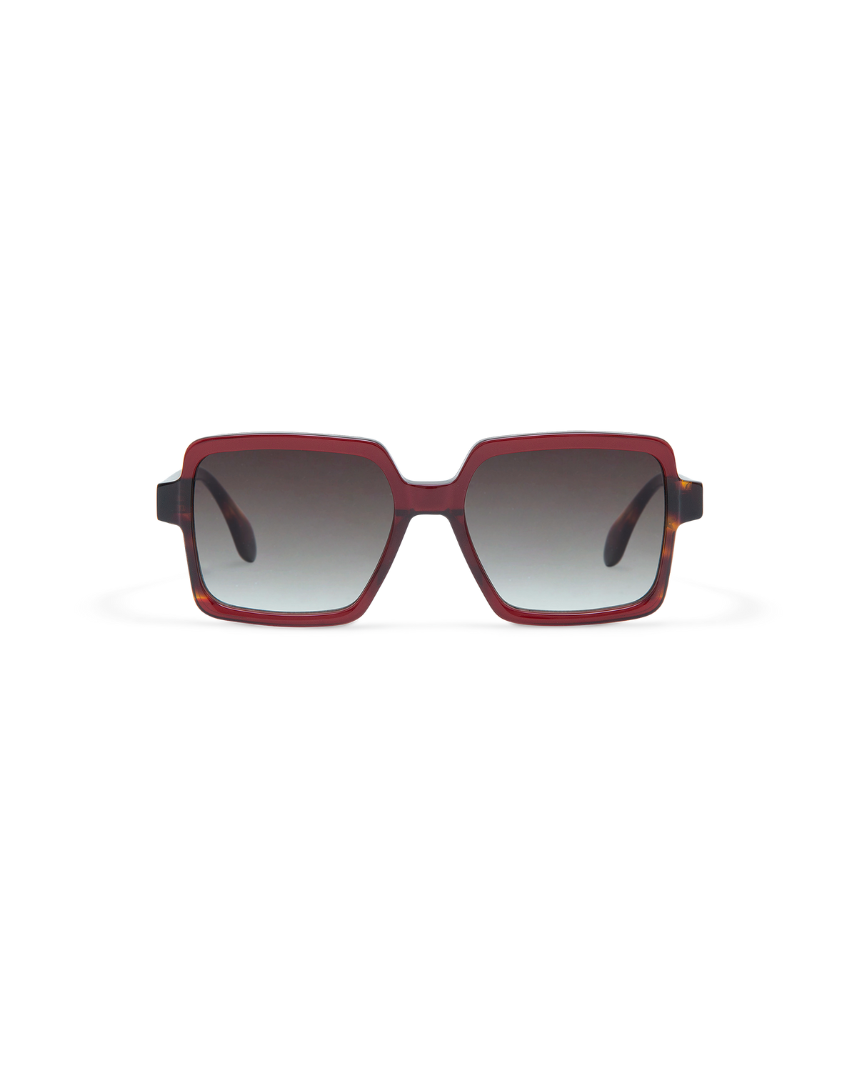 AMI: Cuadrada Acetato Rojo sunglasses by GIGI STUDIOS 10873