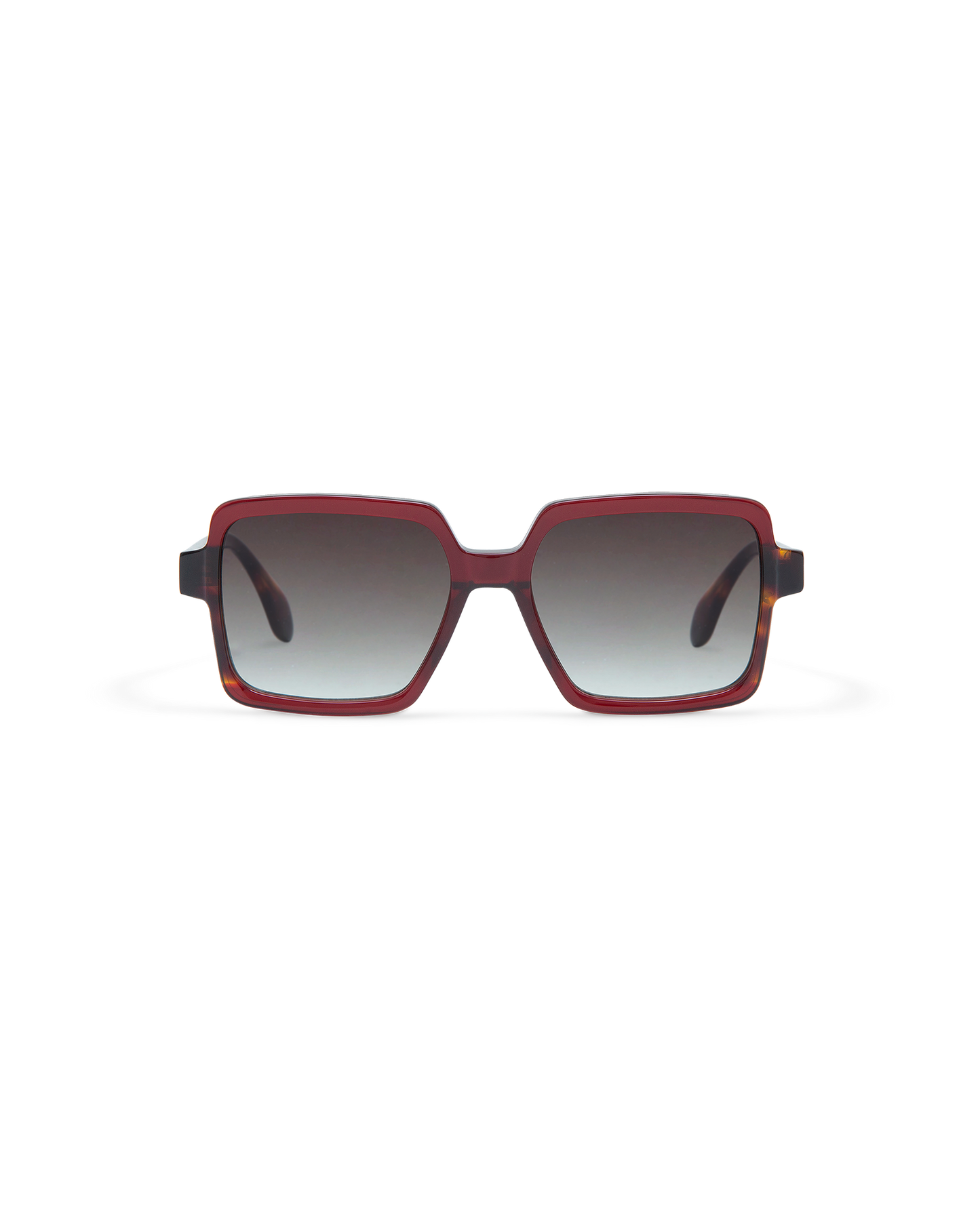 AMI: Cuadrada Acetato Rojo sunglasses by GIGI STUDIOS 10873
