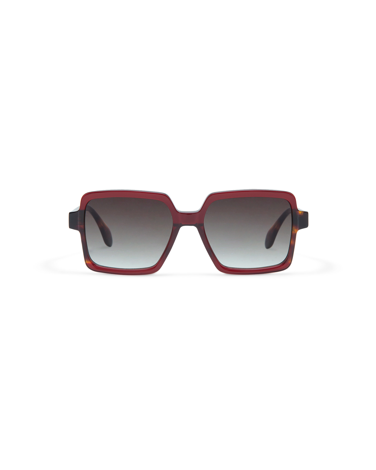 AMI: Cuadrada Acetato Rojo sunglasses by GIGI STUDIOS 10873