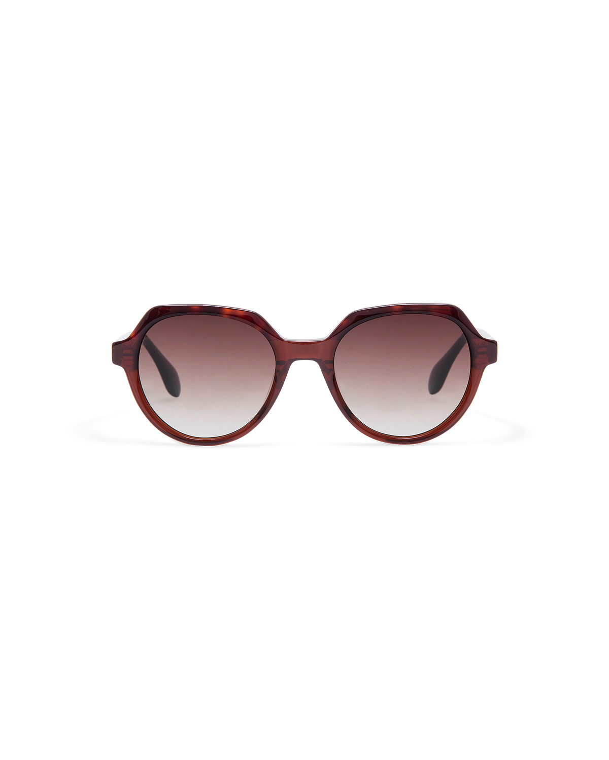 INE: Geométricas Acetato Marrón sunglasses by GIGI STUDIOS 10877