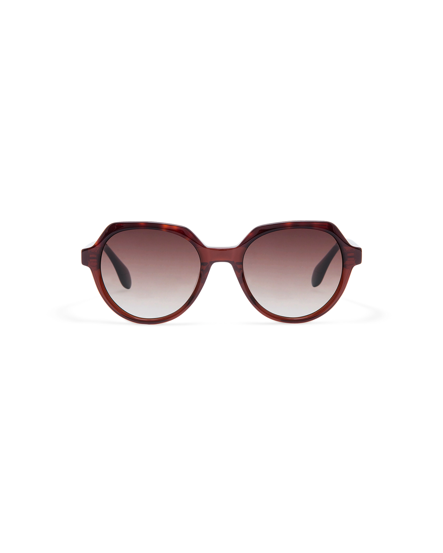 INE: Geométricas Acetato Marrón sunglasses by GIGI STUDIOS 10877