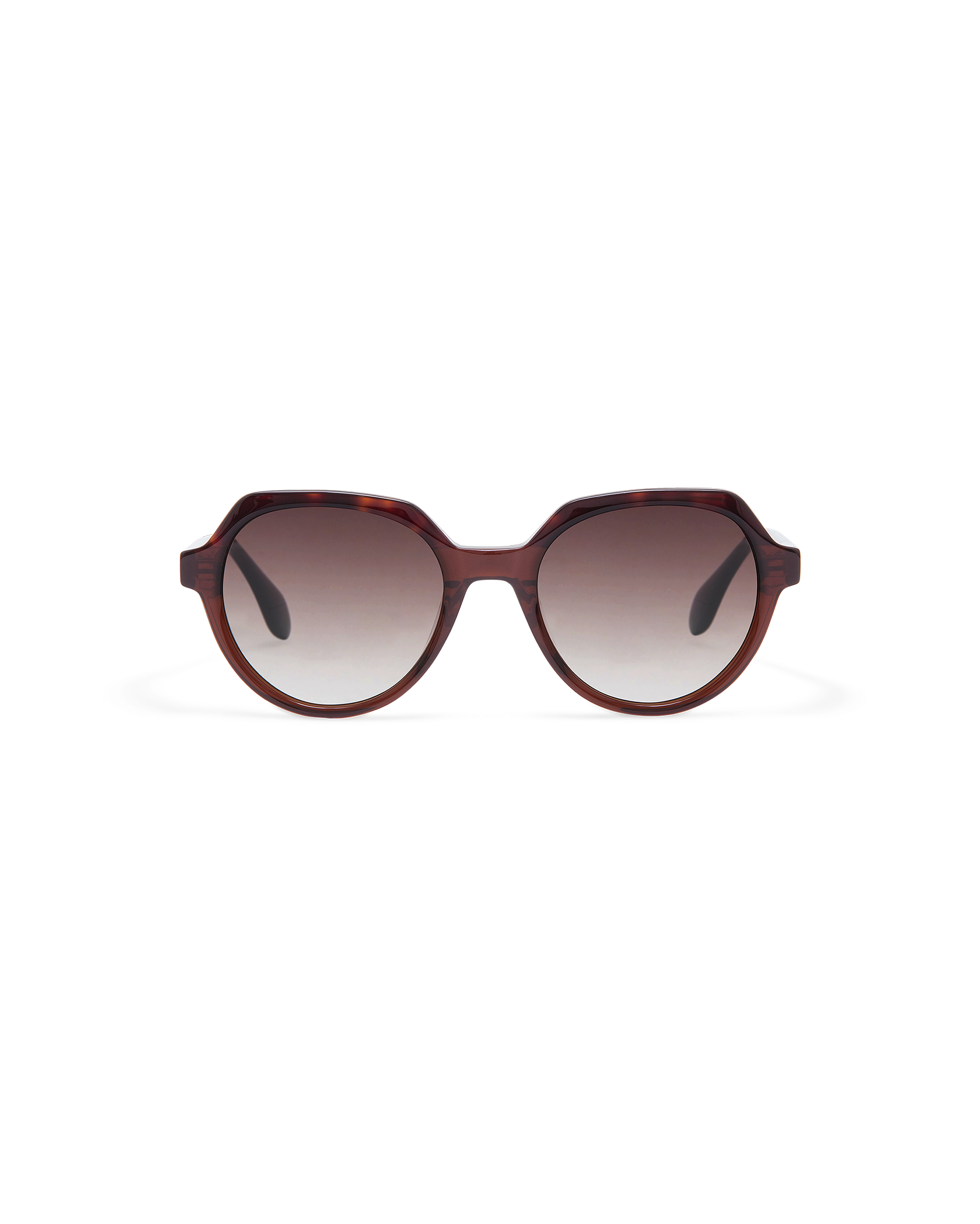 INE: Geométricas Acetato Marrón sunglasses by GIGI STUDIOS 10877