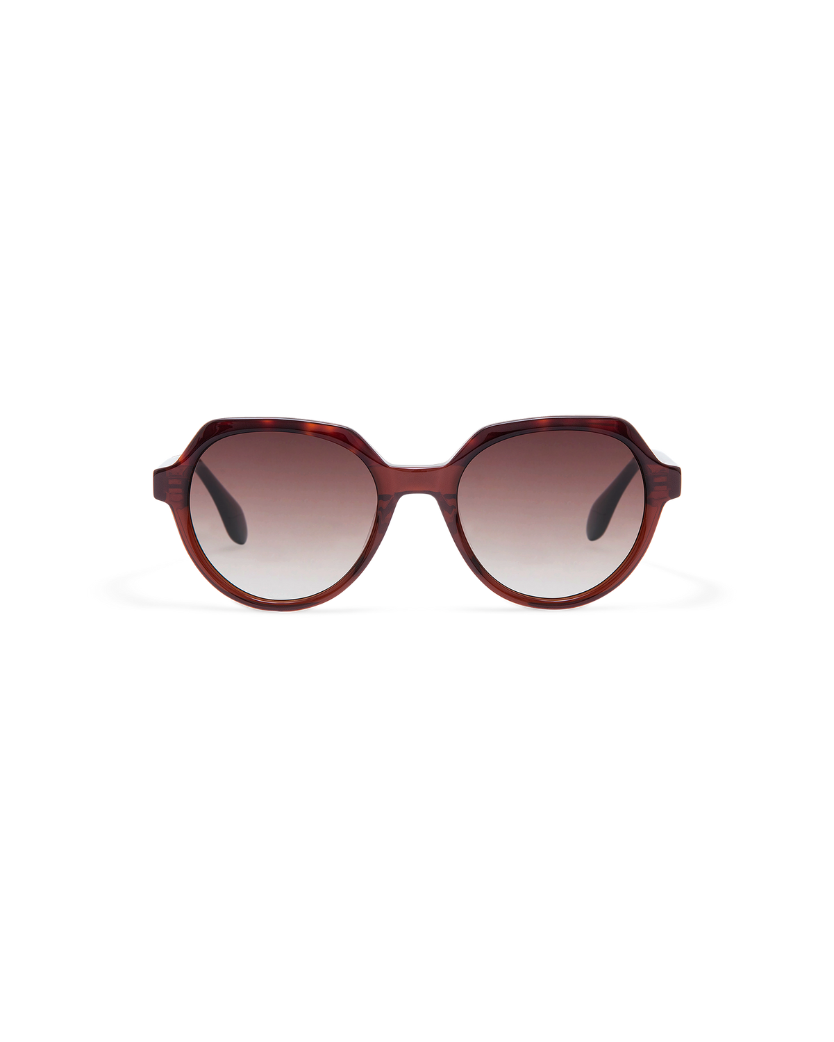 INE: Geométricas Acetato Marrón sunglasses by GIGI STUDIOS 10877
