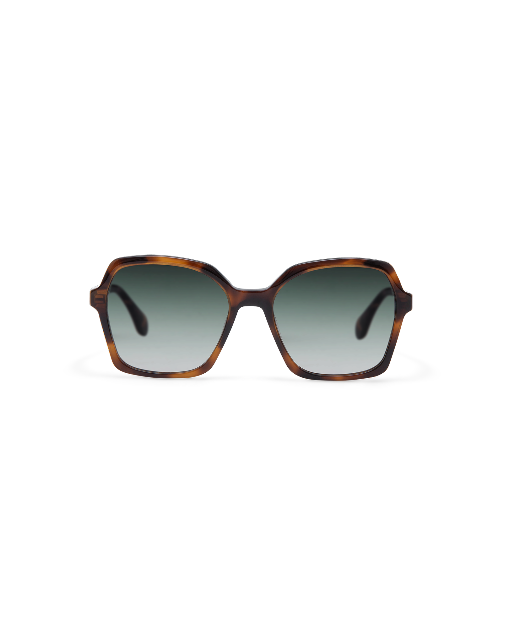 NEA: Geométricas Acetato Havana sunglasses by GIGI STUDIOS 13797