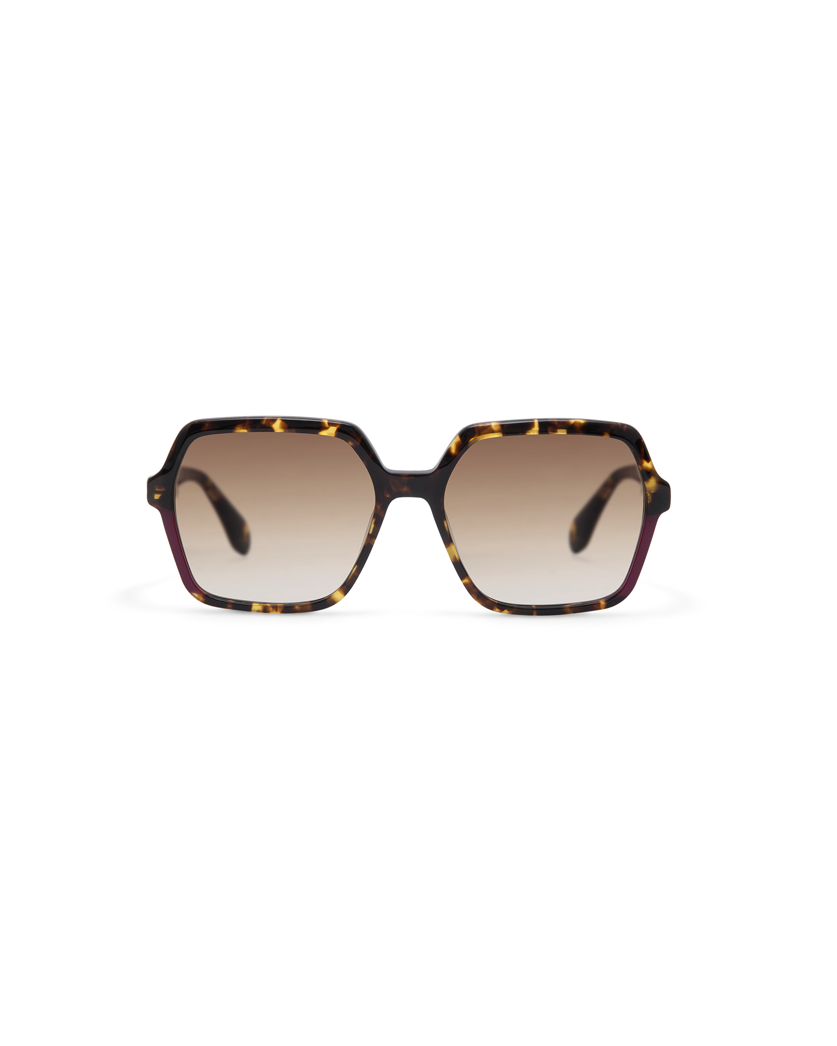 LIE: Cuadrada Acetato Havana sunglasses by GIGI STUDIOS 13805