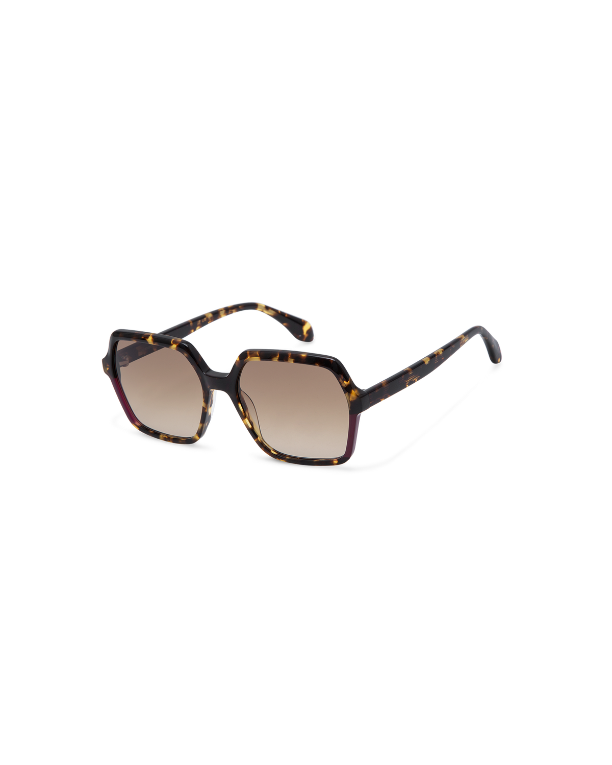 LIE: Cuadrada Acetato Havana sunglasses by GIGI STUDIOS 13806