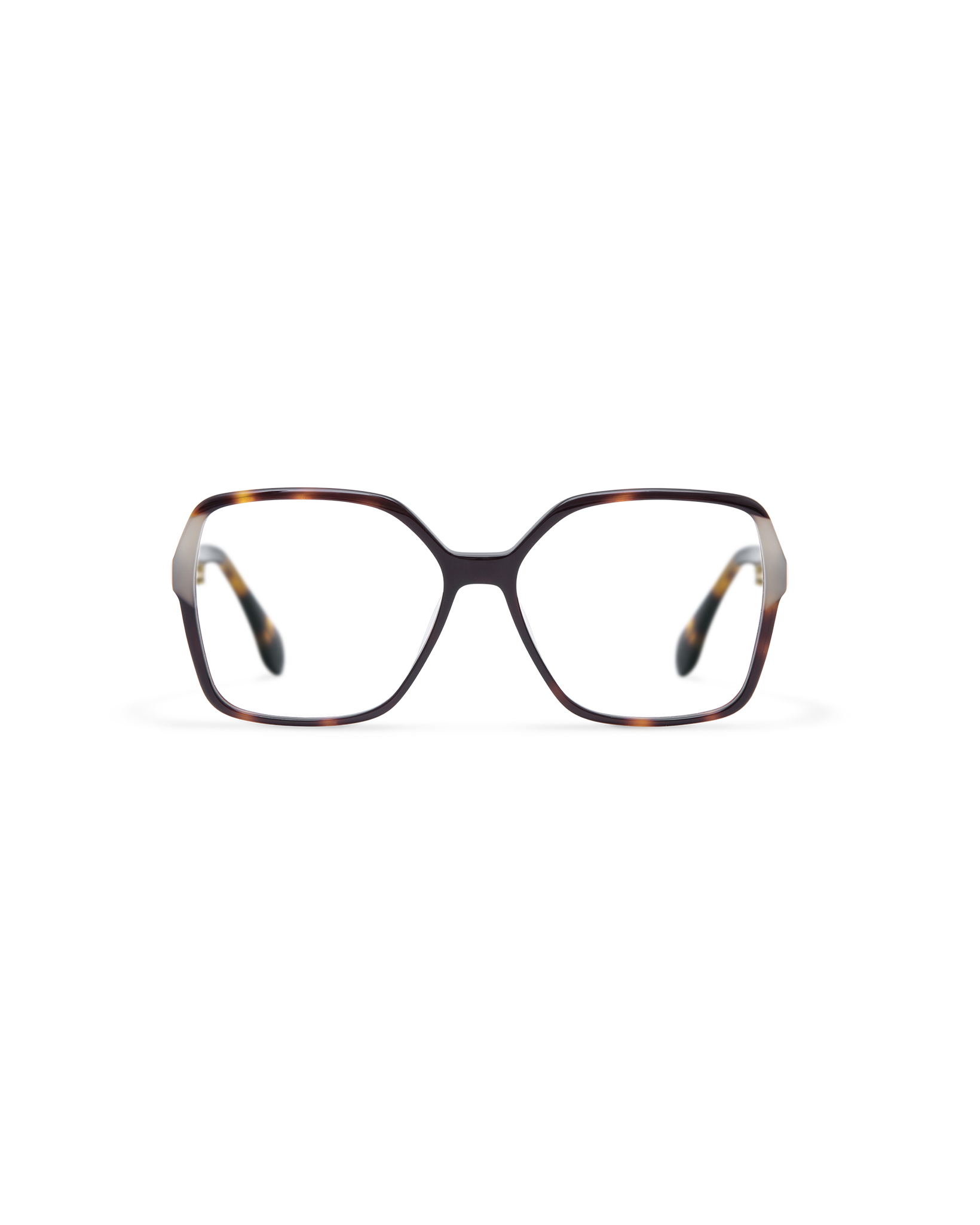 SEN: Cuadrada Acetato Havana optical glasses by GIGI STUDIOS 13821