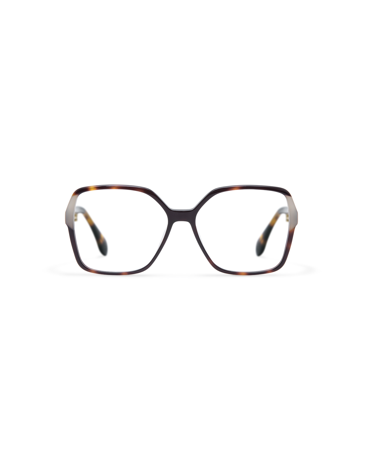 SEN: Cuadrada Acetato Havana optical glasses by GIGI STUDIOS 13821
